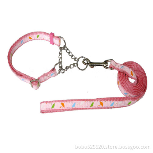 fashion pet collar and leash